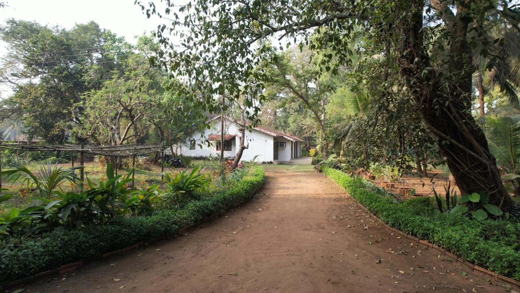 Banyan House - Luxurious 4 Bedroom Villa On One Acre, Near The Beach Nagaon  Exterior foto